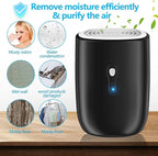 Dehumidifiers for Home 27oz(800ml) Small Auto Shut off Dehumidifiers with Drain Hose,Portable Ultra Quiet Mini Dehumidifier