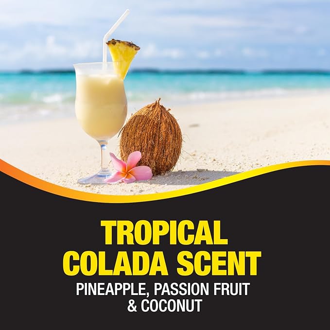 California Scents Palms Paper Tropical Colada Air Freshener