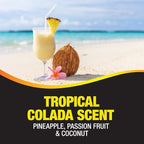 California Scents Palms Paper Tropical Colada Air Freshener