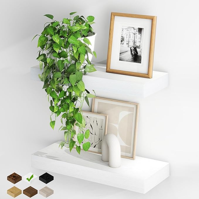 Fun Memories Floating Shelves for Wall, 20Inch Floating Shelves Set of 2, Hanging Shelf with Invisible Brackets, Wood Shelves