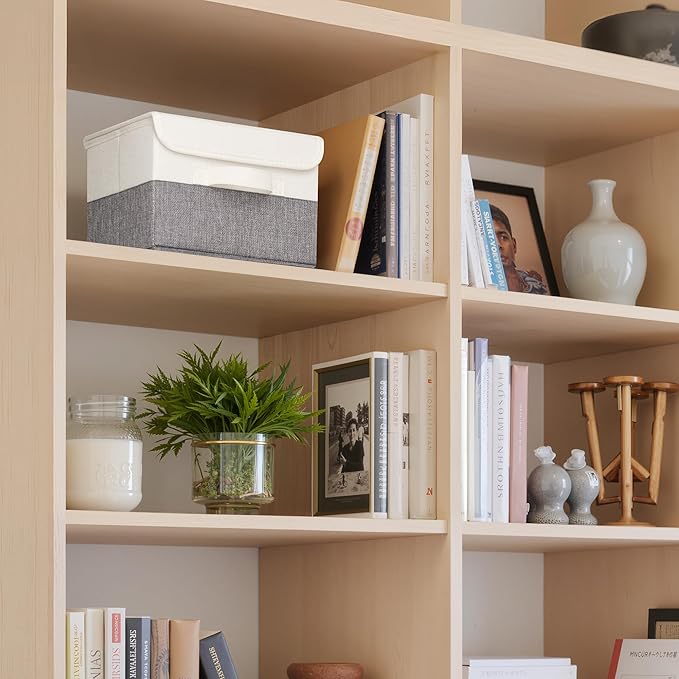 GRANNY SAYS Small Storage Bins with Lids, Small Storage Boxes, Shelf Baskets for Shelf, Collapsible Storage Bins for Living R