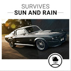 CAR GUYS Plastic Restorer | Bring Plastic, Rubber, and Vinyl Back to Life! | User Friendly Trim Restorer | Safe Auto Detailin