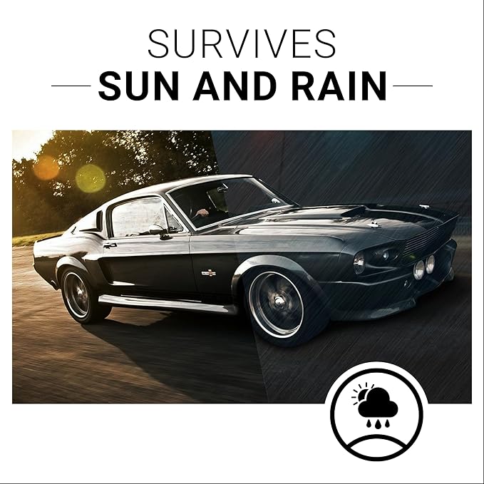 CAR GUYS Plastic Restorer | Bring Plastic, Rubber, and Vinyl Back to Life! | User Friendly Trim Restorer | Safe Auto Detailin