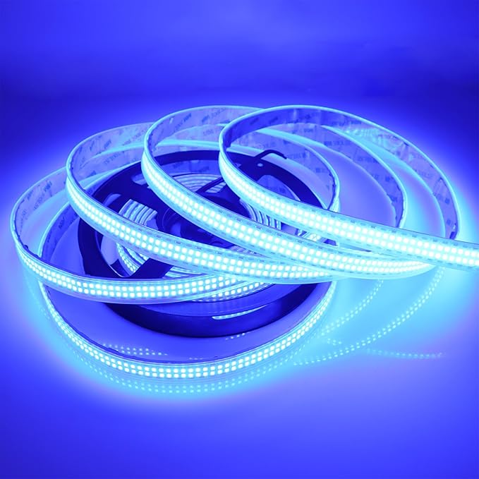 Outdoor 12V LED Strip Lights 16.4ft, Double Row 2400 LEDs Waterproof IP67, Super Bright Blue Dimmable Flexible Tape Lights for Outdoor, Truck, RV, and Boat Lighting