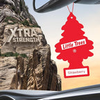 LITTLE TREES Car Air Freshener | Xtra Strength Provides Long-Lasting Scent for Auto or Home | Extra Boost of Fragrance | Stra