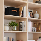 GRANNY SAYS Small Storage Bins with Lids, Small Storage Boxes, Shelf Baskets for Shelf, Collapsible Storage Bins for Living R