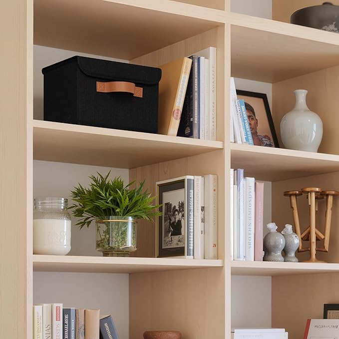 GRANNY SAYS Small Storage Bins with Lids, Small Storage Boxes, Shelf Baskets for Shelf, Collapsible Storage Bins for Living R