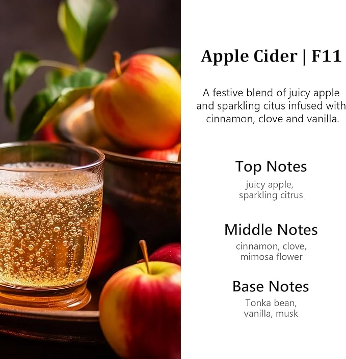 HoogaLife Car Air Freshener Diffuser 2 Pack Hanging Air Freshener Diffuser - Apple Cider Fragrance Oil Air D iffuser for Car,