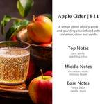 HoogaLife Car Air Freshener Diffuser 2 Pack Hanging Air Freshener Diffuser - Apple Cider Fragrance Oil Air D iffuser for Car,