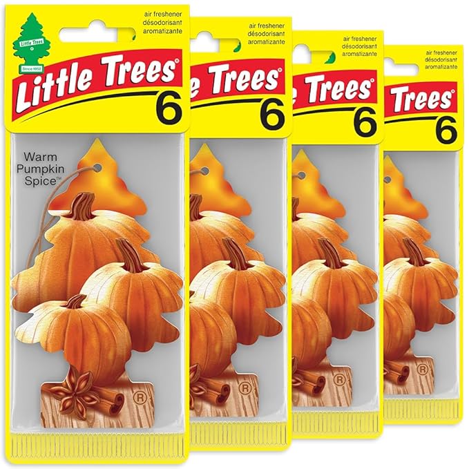 LITTLE TREES Car Air Freshener | Hanging Tree Provides Long Lasting Scent for Auto and Home | Warm Pumpkin Spice, 24 Air Fres