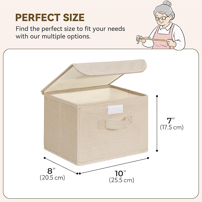 GRANNY SAYS Small Storage Bins with Lids, Small Storage Boxes, Shelf Baskets for Shelf, Collapsible Storage Bins for Living R
