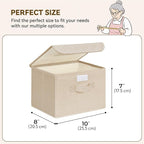 GRANNY SAYS Small Storage Bins with Lids, Small Storage Boxes, Shelf Baskets for Shelf, Collapsible Storage Bins for Living R