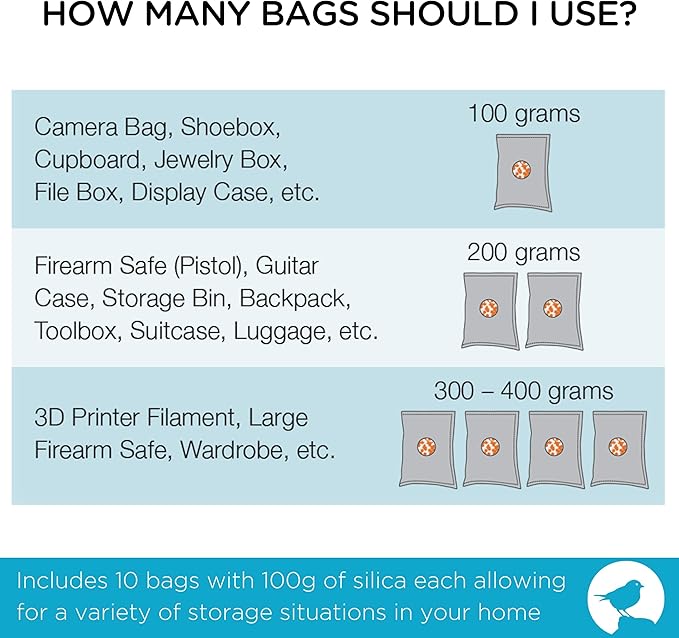 BIRDROCK HOME Reusable Desiccant Pack 100g (10-Pack) - Silica Gel Moisture Absorber & Humidity Control Packs for