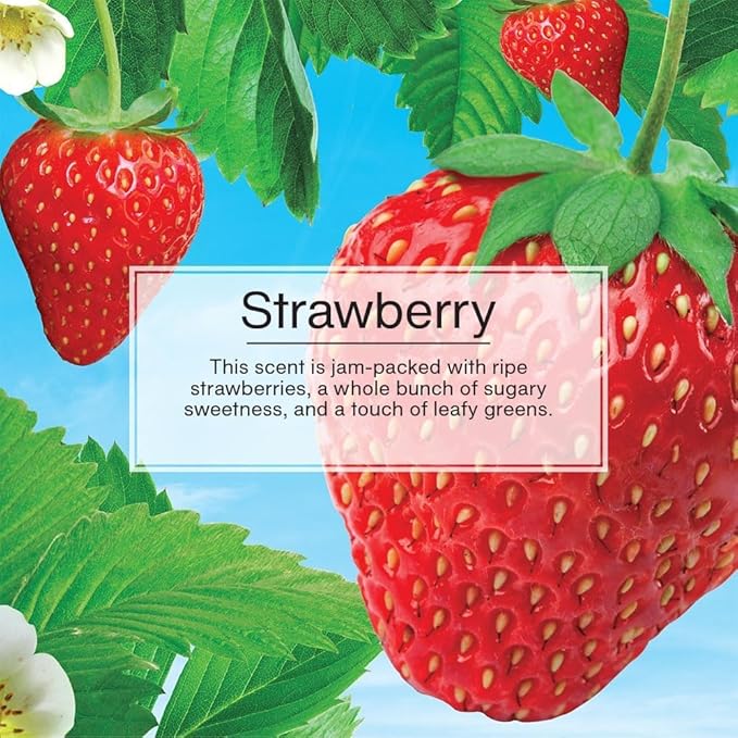 LITTLE TREES Car Air Freshener | Spray Provides a Long-Lasting Scent for Auto or Home | On-the-go Freshness | Strawberry, 6 A