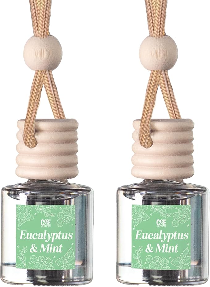 C&E Craft Co Hanging Car Air Freshener Diffuser 2 Pack, Long Lasting Fragrance Oil Car Freshener, Glass Bottle Auto Air Fresh