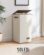 SOLEDI Clothes Hamper with Lid - 100L XL - Large Laundry Basket with Removable Bag, Collapsible Laundry Baskets, Convenient S