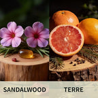 Car Air Freshener Hanging 2 Pack, Sandalwood & Terre Scent Essential Oil Diffuser Long Lasting Up to 150 Days, Cute Car Acces