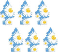 LITTLE TREES 076171673473 Daisy Fields Hanging Paper Tree for Home or Car, 6 Pack