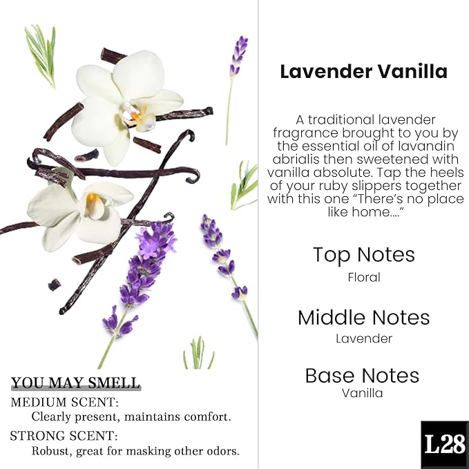 HoogaLife Car Air Freshener Diffuser 2 Pack Hanging Air Freshener Diffuser -Lavender Vanilla Fragrance Oil Air D iffuser for 