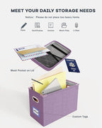 Oterri File Organizer with Lid, Hanging Filing Box with Mesh Pocket, Document Organizer for Letter Files, Portable Storage Bo