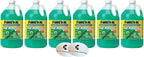 6 Pack Rain X Green Windshield Washer Fluid With Rain Repellant & Bug Remover 32* F All Weather Fluid 1 Gallon Each