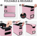 BALEINE File Organizer Box with Lid, Collapsible File Folder Organizer with Plastic Slide, Hanging File Folder Box for Office