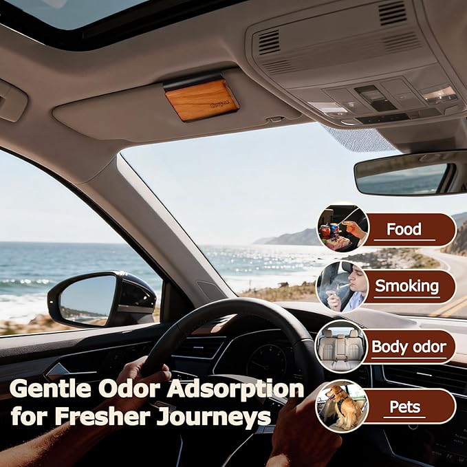 Car Air Freshener - Wood Air Freshener, Car Odor Absorber & Purifier, All Natural Plant Essential Oils,Long Lasting Scent, Pa