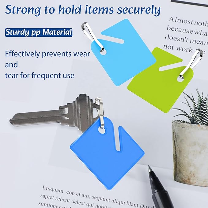 KAKAMINA 100 Pcs Colored Key Tags Plastic Hanging Tags with Metal Snap Hooks, Tags for Slotted Key Cabinets Boxes Lockers for