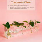 Jetec Acrylic Pen Holder 6 Compartments Makeup Brush Stationery Organizer Pencil Holder for Desk Accessories, Cosmetic Brushe