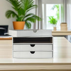 UnionBasic Document Organizer, 3-Drawer File Cabinet Document Storage Box, Office Desktop Filing Organizer, Croco White