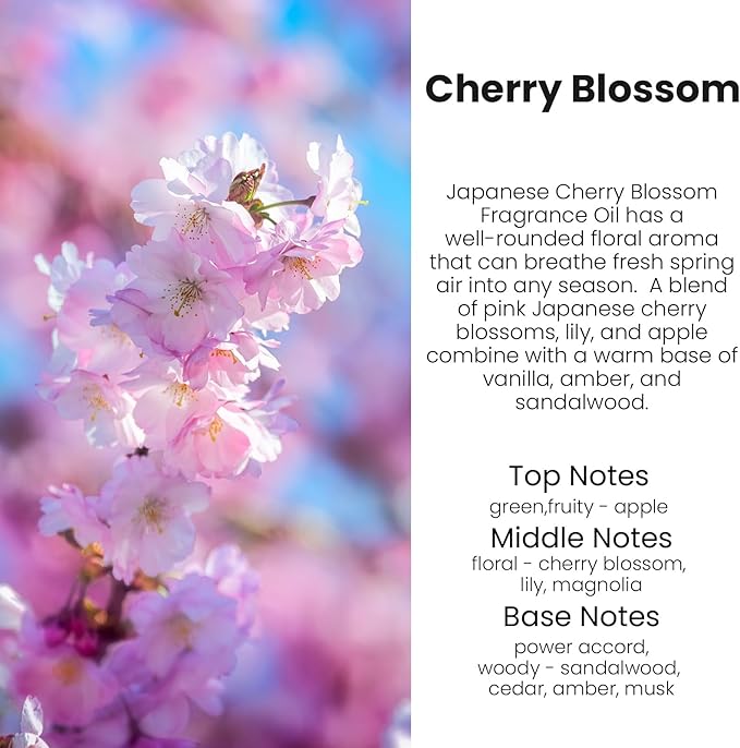 HoogaLife Car Air Freshener Diffuser 2 Pack Hanging Cherry Bloom Car Air Freshener for Women 45+ days Long Lasting Fragrance 
