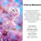HoogaLife Car Air Freshener Diffuser 2 Pack Hanging Cherry Bloom Car Air Freshener for Women 45+ days Long Lasting Fragrance 