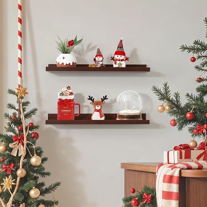 NEXHOME PRO Floating Shelves for Wall Set of 2,24 Inches Picture Ledge Shelf, Kids Bookshelf Wall Mounted for Living Room Bed