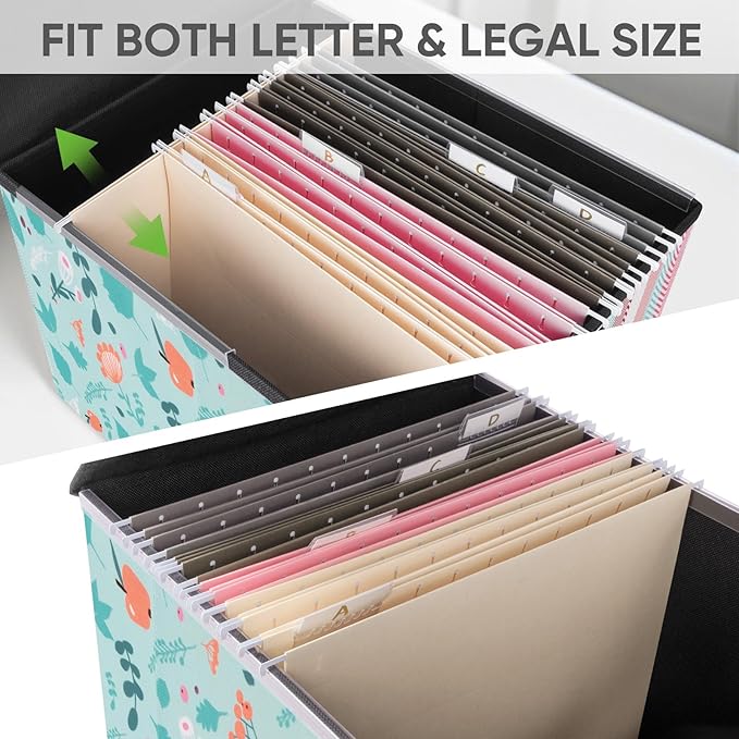BALEINE File Organizer Box with Lid, Collapsible File Folder Organizer with Plastic Slide, Hanging File Folder Box for Office