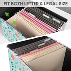 BALEINE File Organizer Box with Lid, Collapsible File Folder Organizer with Plastic Slide, Hanging File Folder Box for Office