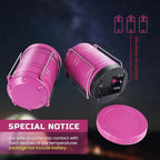 Lichamp LED Camping Lantern, 4 Pack Battery Powered Flashlight for Power Outages, Portable Collapsible Hanging Light Essentia