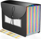 Accordion File Organizer Expanding File Folders,25 Pockets Document Organizer,Plastic Accordian File Folder,Expandable Bill P