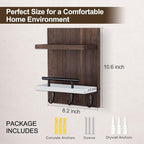 Key Holder Wall Mount, Key Holder With 2 Display Shelf, 3 Hooks for Key, Coat, Dog Leash, Key Hanger with Hook for Mail, Pott