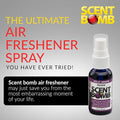 Scent Bomb Air Freshener Spray, Long-Lasting Odor Eliminator - Effective Deodorizer for Home & Car, Fresh Room Spray for Kitc