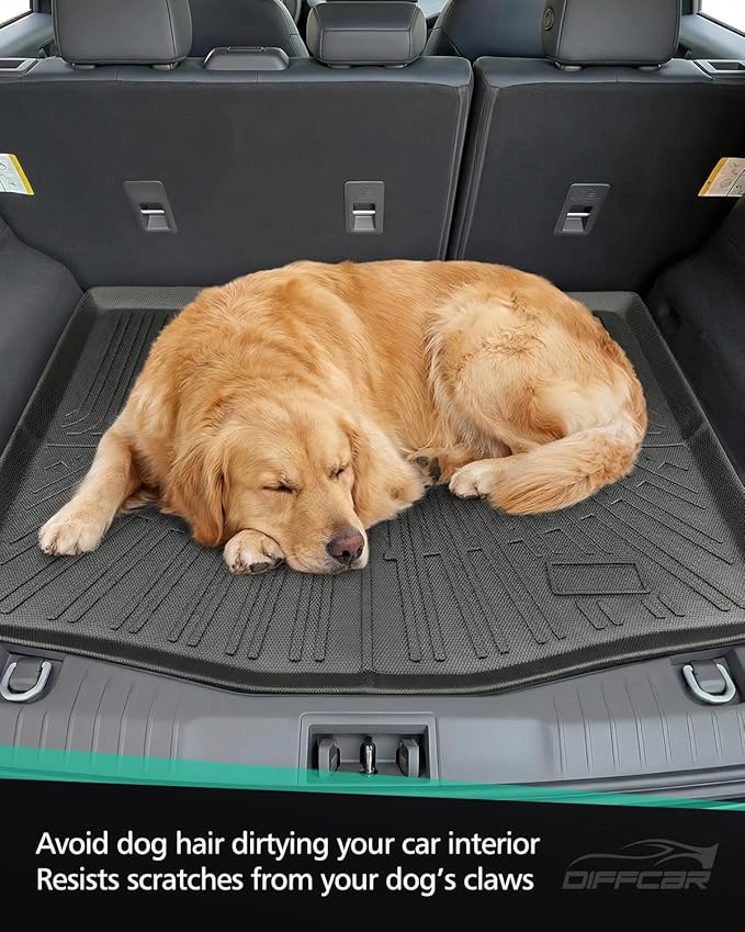for Mustang Mach E Floor Mats & Cargo Liner 2021–2026, Custom Fit All Weather TPE Car Mats for Mach E Accessories, 1st & 2nd Row Heavy-Duty Black Floor Liners for Ford Mustang Mach-E by DiffCar
