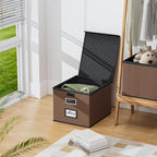 Huolewa File Organizer Boxes with Lids, Collapsible Faux Leather Hanging File Folder Box Organizer with Plastic Slide, Decora