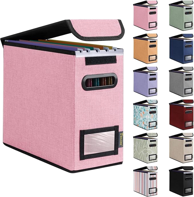 BALEINE File Organizer Box with Lid, Collapsible File Folder Organizer with Plastic Slide, Hanging File Folder Box for Office