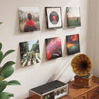 Lifewit Narrow Floating Shelves for Vinyl Record 10 Pack, 12" Clear Wall Shelves for Nail Polish/Book/Picture/Makeup, Acrylic
