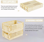 Tixill 2-Pack Mini Foldable Plastic Baskets for Organizing and Storage, Collapsible Storage Crate for Home Kitchen Bedroom Ba