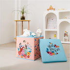 Idea Nuova Disney Princess Collapsible Fabric Storage Cube,10” Organizer Bin with Lid for Bedroom, Playroom, and Closet