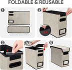 BALEINE File Organizer Box with Lid, Collapsible File Folder Organizer with Plastic Slide, Hanging File Folder Box for Office