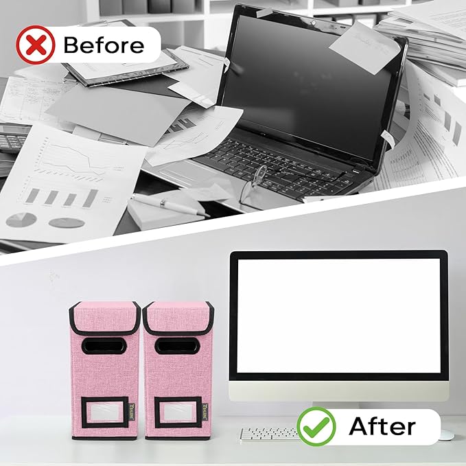 BALEINE File Organizer Box with Lid, Collapsible File Folder Organizer with Plastic Slide, Hanging File Folder Box for Office