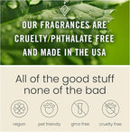 C Classy Car Air Freshener Hanging 2 Pack, Spellbound Essential Oil Diffuser for Cars, Long-Lasting Fragrance, Cute Car Acces