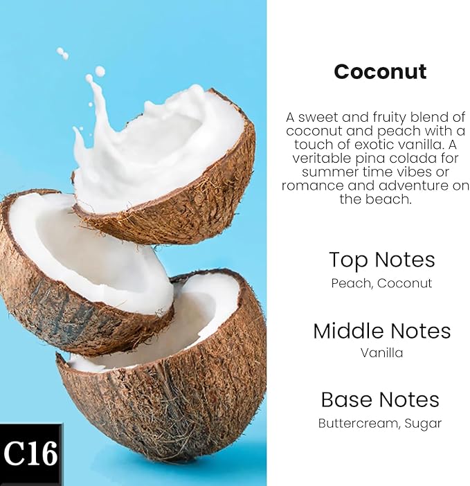 HoogaLife Car Air Freshener Diffuser 2 Pack Hanging Air Freshener Diffuser - Coconut Fragrance Oil Air D iffuser for Car, 45+