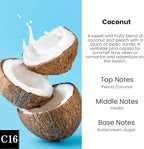 HoogaLife Car Air Freshener Diffuser 2 Pack Hanging Air Freshener Diffuser - Coconut Fragrance Oil Air D iffuser for Car, 45+